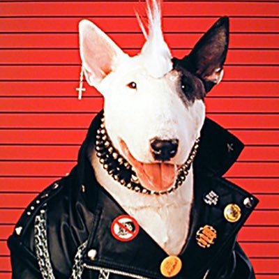 xNoBarkAllBitex's profile picture. 