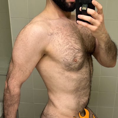 hairy bear