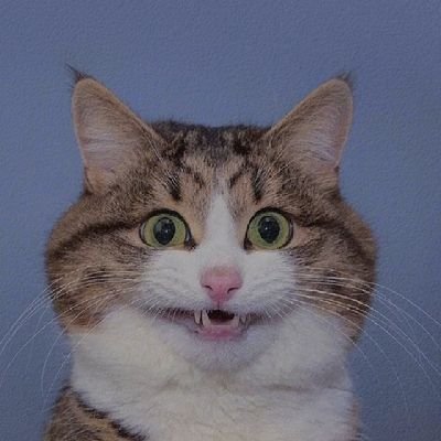 Zulfikar_rizkii's profile picture. Seorang pecinta yang di benci.