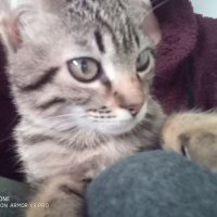 YUKI ON SOL😺 (@fumeime) 's Twitter Profile
