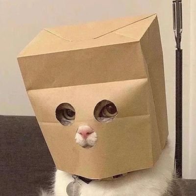 gCukDu86E43's profile picture. ♀️ queen of making bad decisions