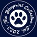 The Blueprint Collective (@blueprint_nil) Twitter profile photo The Blueprint Collective (@blueprint_nil) Twitter profile photo
