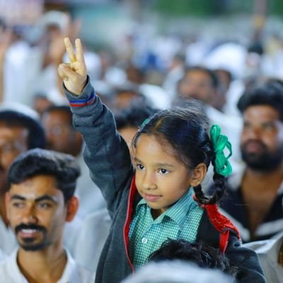 Cricket fan