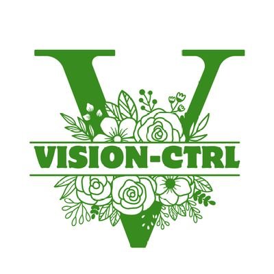 VISION-CTRL