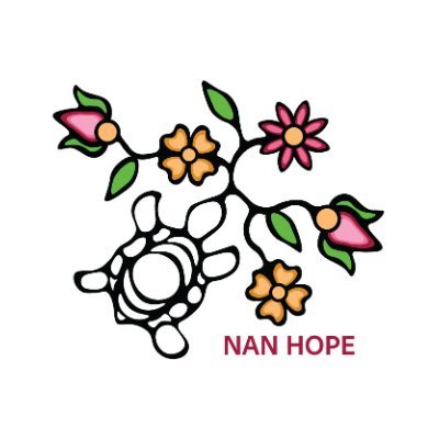 NAN Hope provides mental health and addictions support to members of the 49 First Nations communities in the Nishnawbe Aski region. Call us 24/7 1-844-NAN-HOPE.