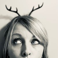 Moose 🐉(@moosedragons1) 's Twitter Profile Photo