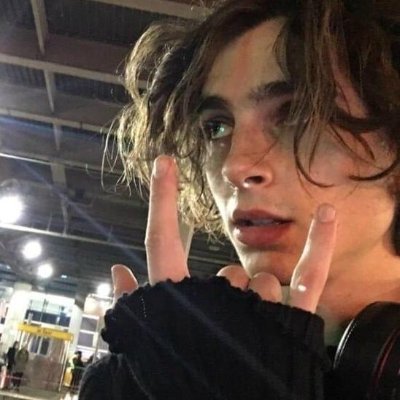 timothee chalamet core
she/her