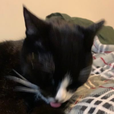 blep