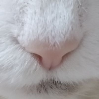 9su8ru_sz's profile picture. timeleszを全力応援🐱 
箱推し🕰️

こちらは情報やらをRPしたりするためだけに動かします。