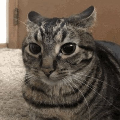 MelvinFlor4631's profile picture. 