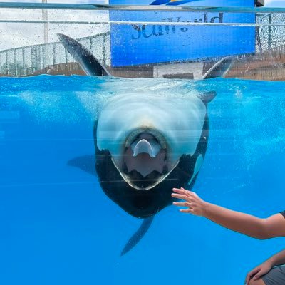 i like seaworld  @josiahsunset insta