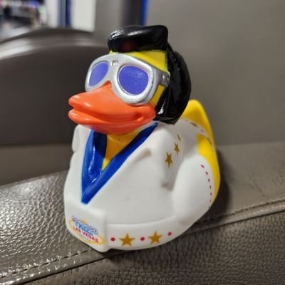 rex_meridian's profile picture. Desert Storm Veteran, father of 6, supporter of President Trump and Patriot. Liberalism is a mental disorder #TrumpWon #MAGA America First!