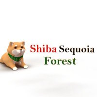 Shiba Sequoia Forest(@LADS_STFT) 's Twitter Profile Photo