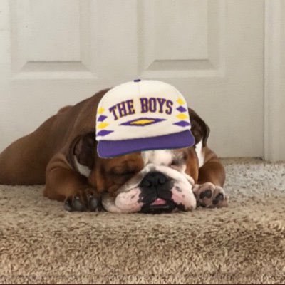 Red English Bulldog, loves naps. Offensive Line Guru. Horrendous farts. Overall, good boy.