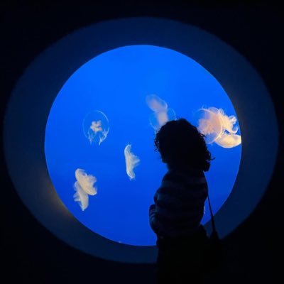 mentallyilllul's profile picture. 