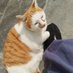 有只笨猫的小道士 (@xusidi6) Twitter profile photo 有只笨猫的小道士 (@xusidi6) Twitter profile photo
