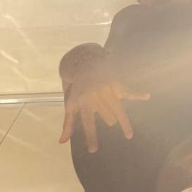 morenuggett's profile picture. 