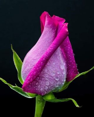 KNdahos64202's profile picture.