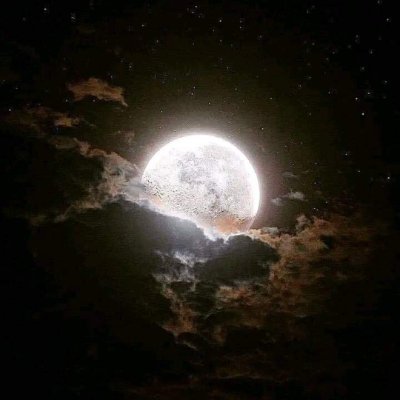 AnilberG's profile picture. Soy un una persona sencilla pero  luchadora...Amo a mi hija y a mi familia...Vivo la vida día a día xq la valoro...Gracias a dios por todo.