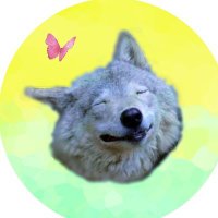 おまえ🌙 (@beginnermkm) 's Twitter Profile