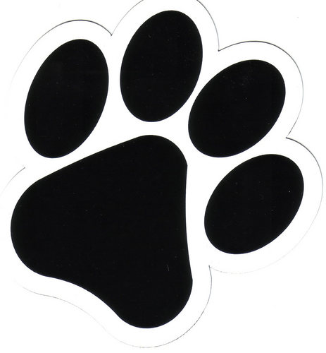 Kuwait's Dog Journal