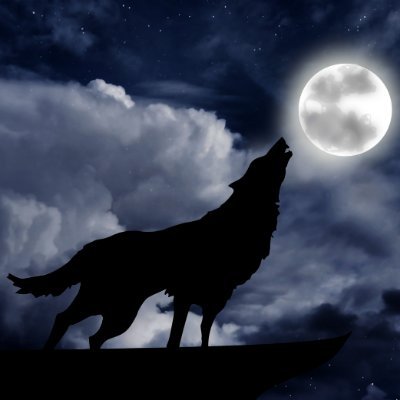 _L0NEW01F's profile picture. $BTC | $ETH | $SOL | $SKY | $YFI | $HBAR | $XRP | $AAVE | $LINK