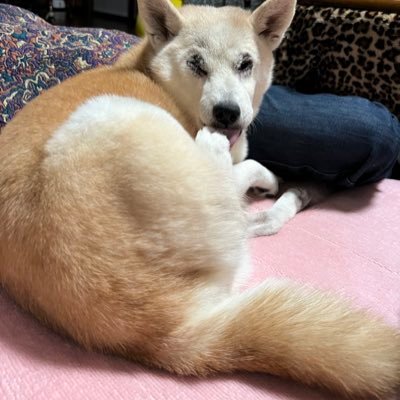 コウさんのプロフィール画像