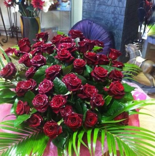 shabnamrafiq1's profile picture. 