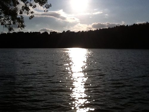 RSS_FEED_BER's profile picture. Sammlung interessanter RSS FEED  aus Politik, Wissenschaft und Technik