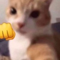 Manossour (@manossour64745) 's Twitter Profile