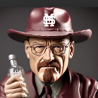 Walter White enthusiast supporter of all hail state sports #showtime NOT AFFILIATED WIT MISSISSIPPI STATE, or am i