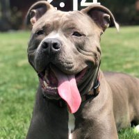 Bobby Brackets (@bobby_brackets) 's Twitter Profile