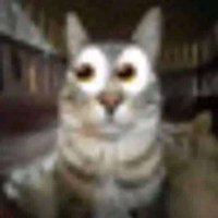 Dei | C0mms open! (@deixilly) 's Twitter Profile Photo Dei | C0mms open! (@deixilly) 's Twitter Profile Photo