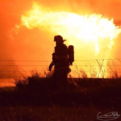 Pearl Jam and Gonzaga basketball. Firefighter, Paramedic. Sarcasm and trolling.