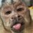 Gabriel34871972's profile image