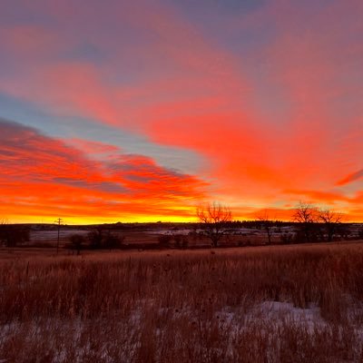 Vnoone27V's profile picture. Like Elon, governments should focus on making the world better instead of wasting most of the resources on wars and power.