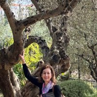 Dr. Maria T DeSancho (@drdesancho) Twitter profile photo