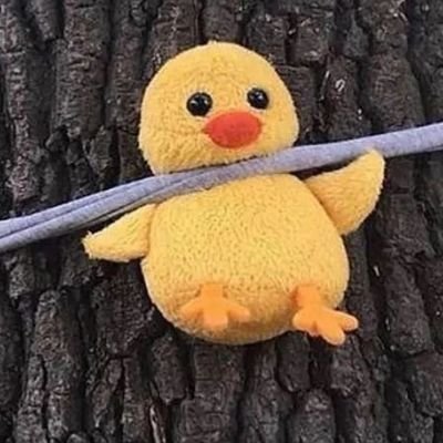 RoCunha_'s profile picture. Deslocada no mundo e desvinculada do universo

🫠 Evitada ou evitando?