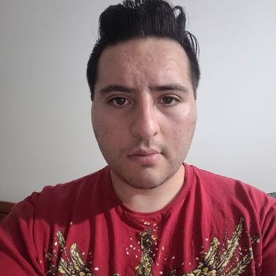 27 años- santiago - hincha de la union española - wwe - intento de bajista - izquierda