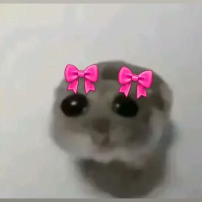 malumalu_luma's profile picture. 