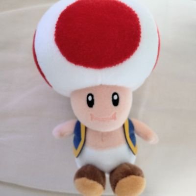 yishi69549383's profile picture. #WHITESCORPION
#ホワイトスコーピオン を応援中🐰
中々会いに行けないので #SCOPIST の写真や動画を楽しみに生きてます

 🍎🫑🍅🍉🐰
#HANNA #ハンナ #ハンナ親衛隊 #ホワスピ #おはんなとーく #ハンナよふかし #ホワスピにトクン