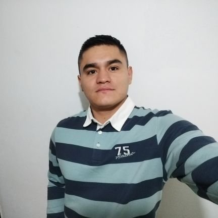 Ingeniero, Especialista en Proyectos.