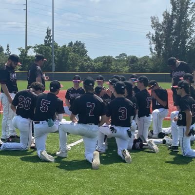 Official Twitter account for Ossining HS Baseball and Home to the Swamp 2019 League Champs