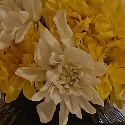 beyondnger's profile picture. 