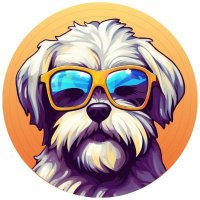 HavaCoin | Support (@havacoin_army) 's Twitter Profile