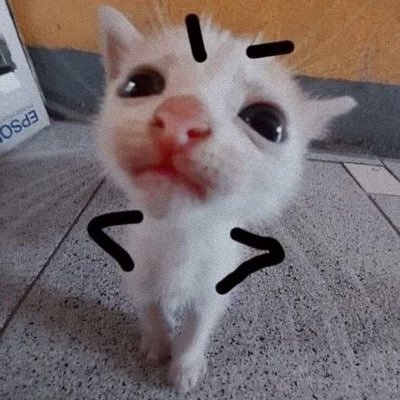 lovelyy_b3ee's profile picture. ✧⁠*⁠。✿｡⁠*ﾟ⁠+