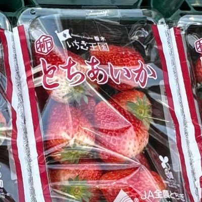 Daigakusey4649's profile picture. 