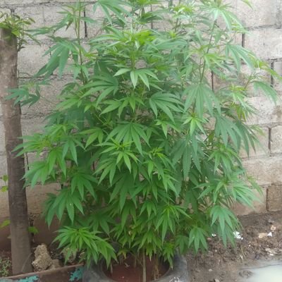 jaydane389327's profile picture. 