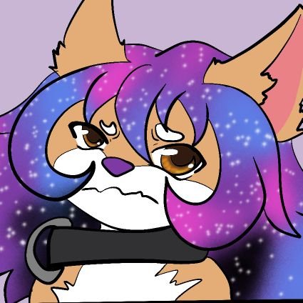 Cosmic Inu || MCFC24さんのプロフィール画像