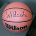 Coach Markeith Gary (@ncwildcats) Twitter profile photo Coach Markeith Gary (@ncwildcats) Twitter profile photo